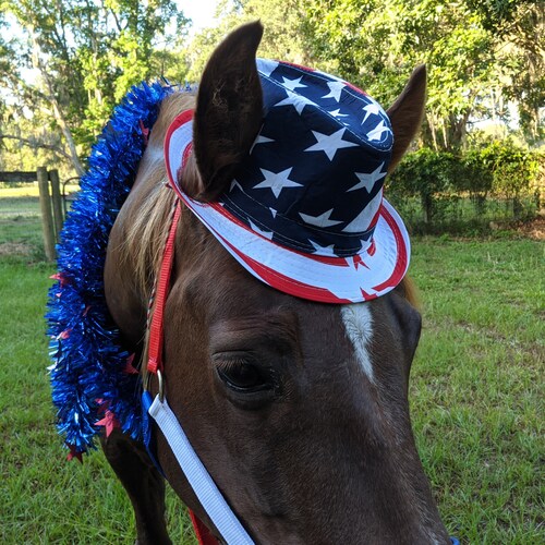 Patriotic Fedora Hat for Horses Drafts 