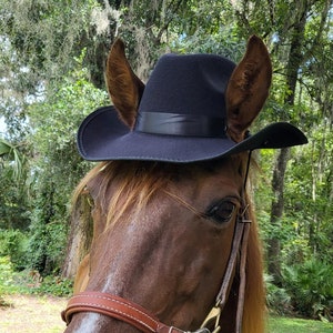 Black, Tan, Sky Blue or White Cowboy Hat for Horse - Cowboy Hat for Equines