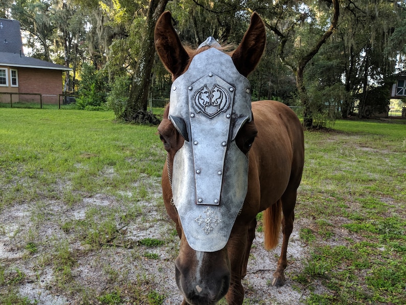 Coburg Chanfron Horse Face Armor in Aged Silver With Eye Etsy