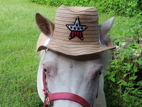 mini straw cowboy hats