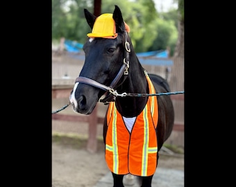 Construction Worker Vest and Hard Hat for Horses or Large Ponies