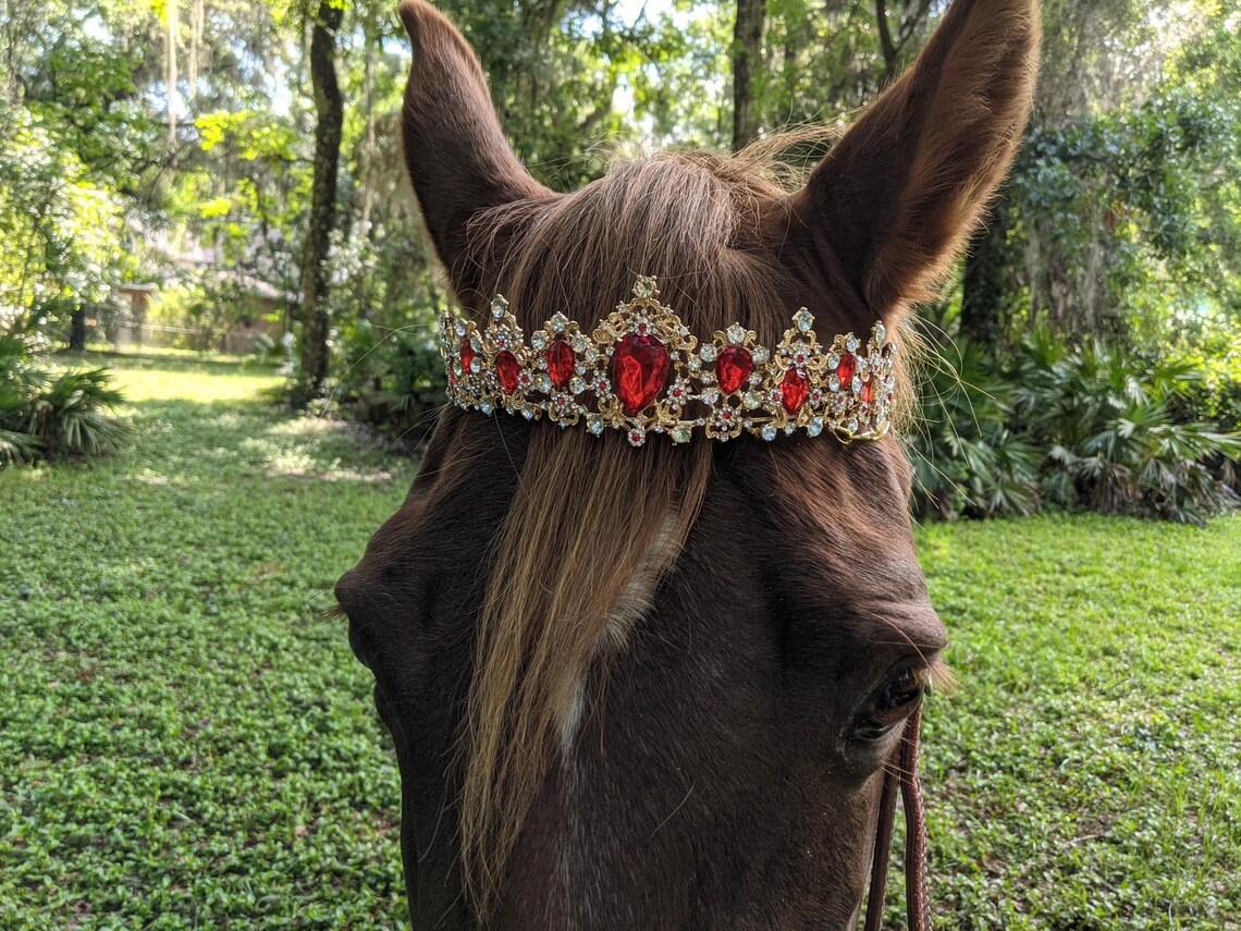 Ruby or Sapphire Rhinestone Crown Tiara Browband for Horses Etsy