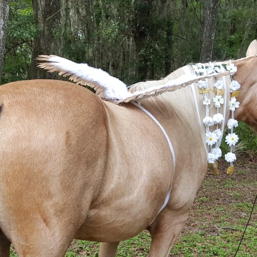 Black Horse Wings Feathered Wings for Horse Pony or Etsy