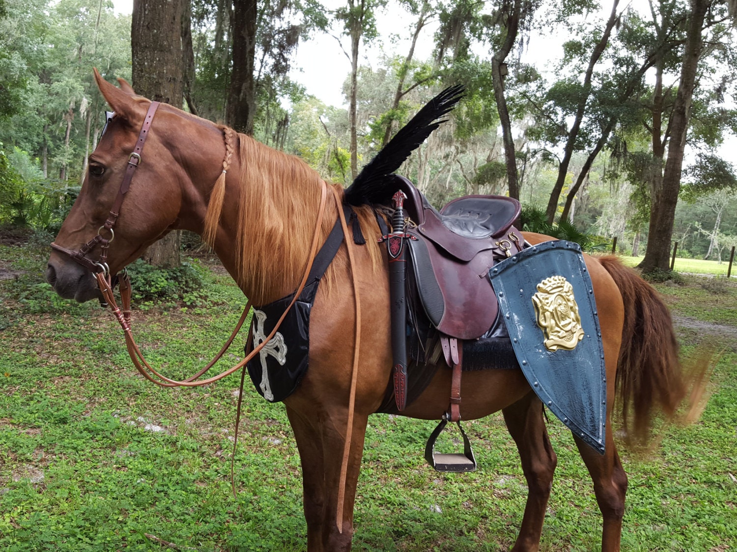 Black Horse Wings Feathered Wings for Horse Pony or Etsy