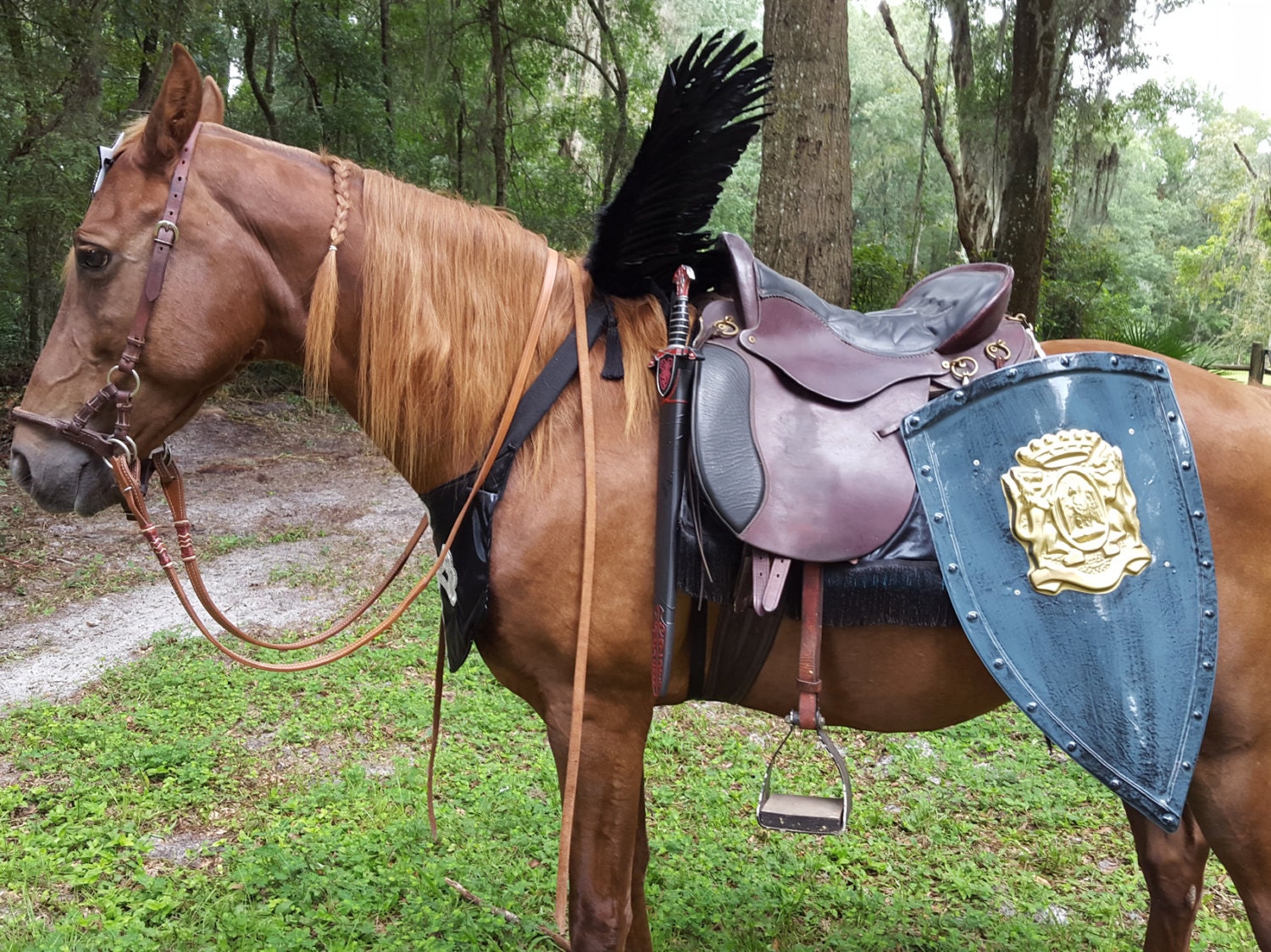 Black Horse Wings Feathered Wings for Horse Pony or Etsy