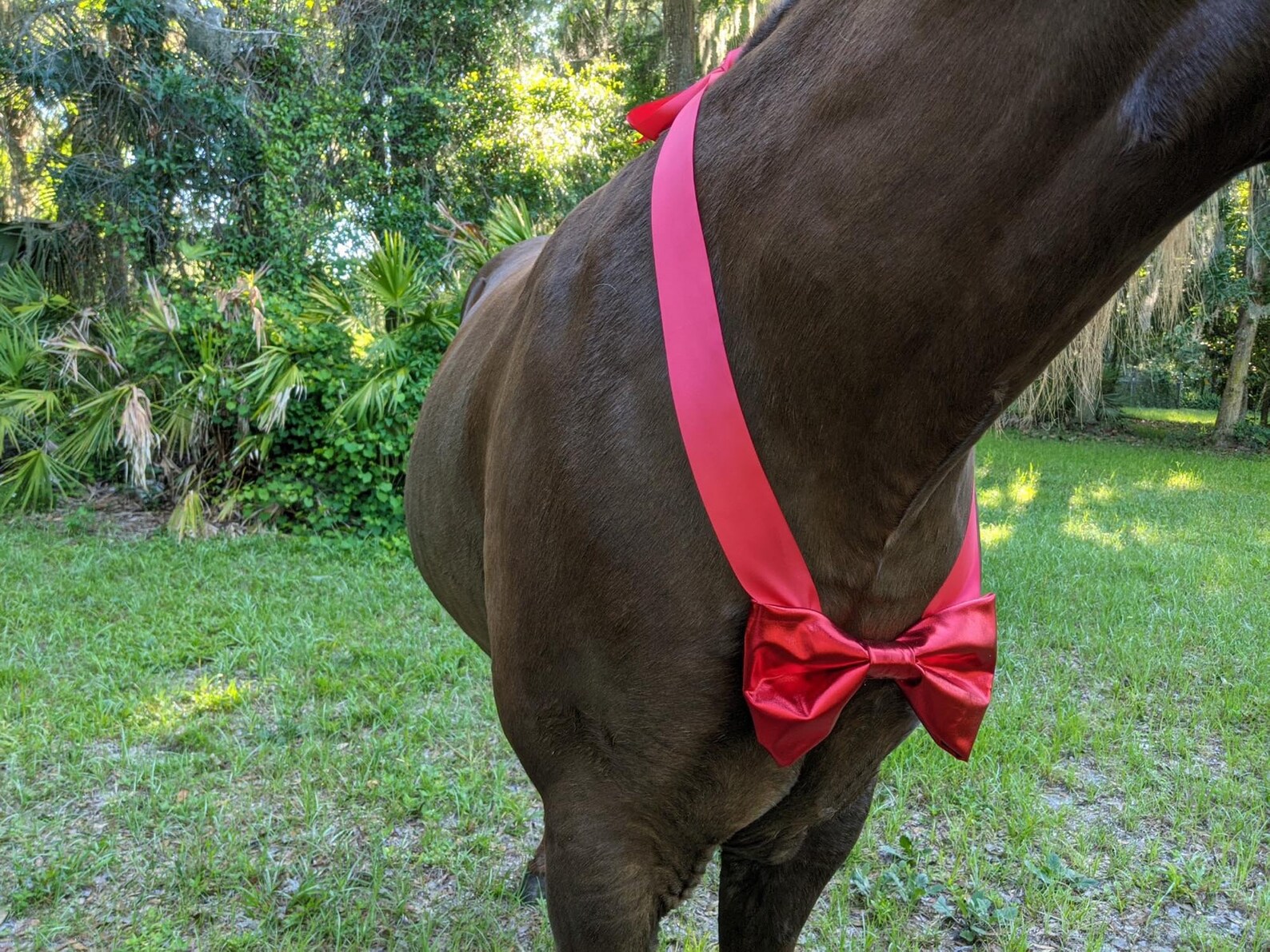 Large Red Bow Tie for Any Size Equine Formal Attire for - Etsy Hong Kong