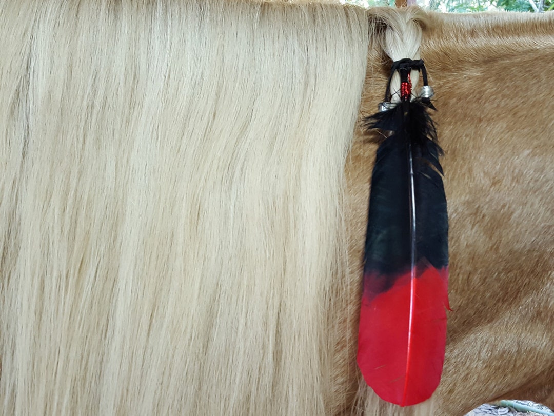 Red Tipped Black Feather Equine Mane or Tail Dangler Ornament Etsy