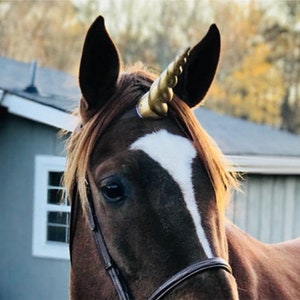 Unicorn Horn Equine Browband with Gold Pink White Blue Silver or Purple Horn - Horse, Pony or Miniature Horse Brow Band with Unicorn Horn