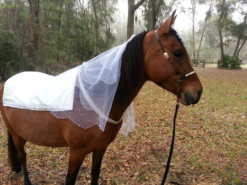 Equine Bridal Veil Equine Bridal Costume Costume for Horse Etsy