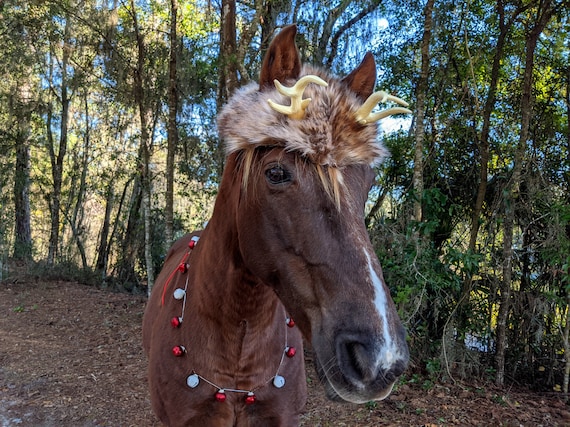 Chapeau Bois de Cerf Costume cervidé animal totem païen,  France