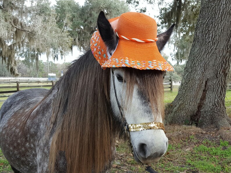 Sun Hats for Horses in several colors Kentucky Derby Horse Etsy