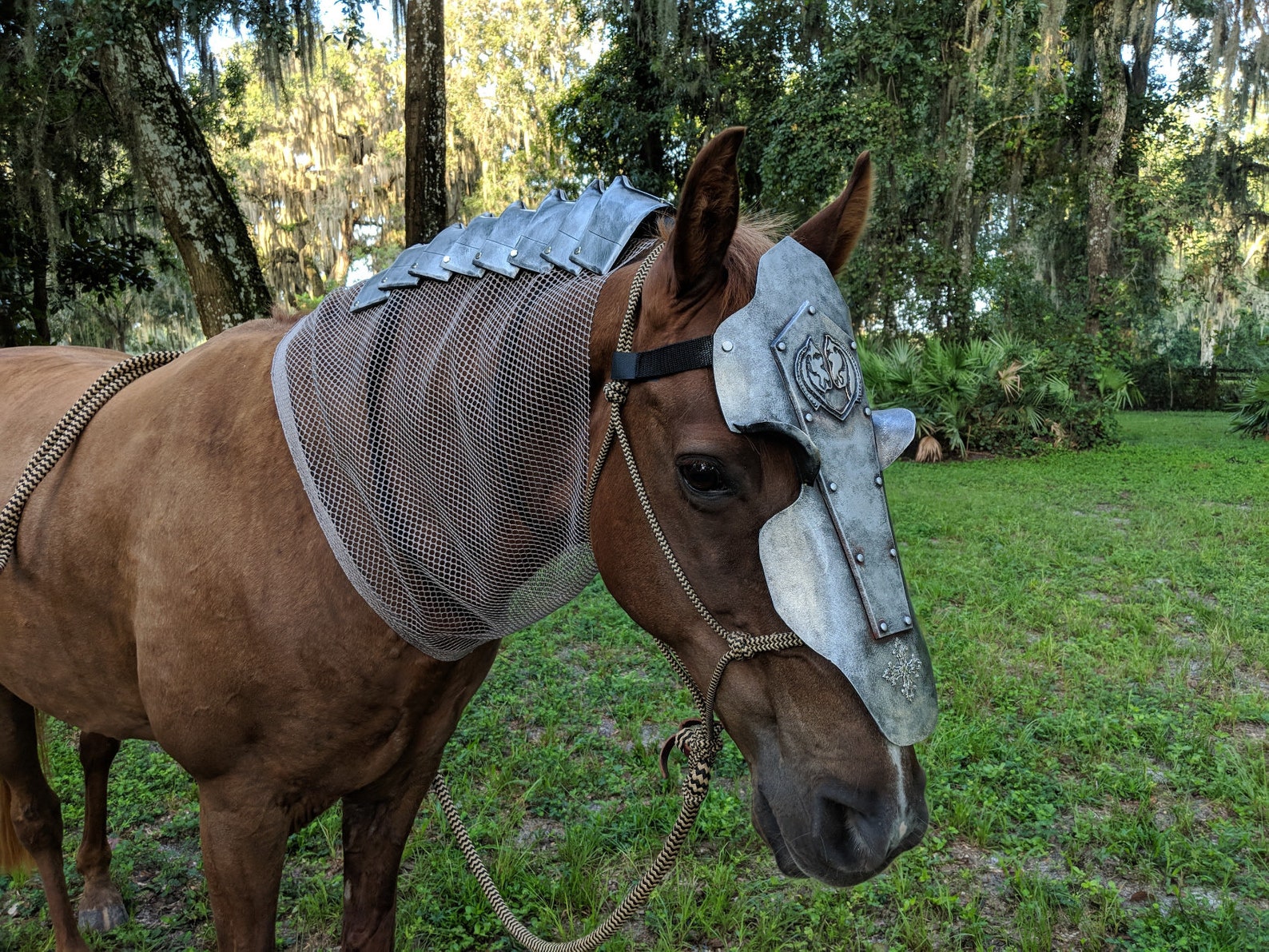 Coburg Chanfron Horse Face Armor in Aged Silver with Eye Etsy