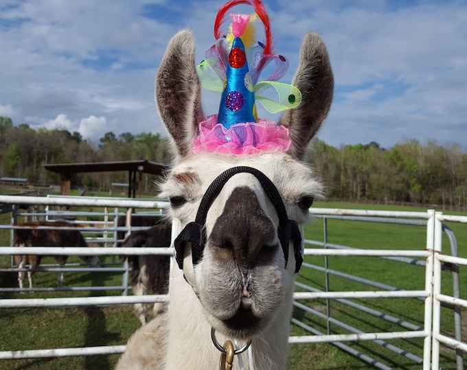 Birthday Hat for Horse or Pony With Candles Soft Equine Birthday Hat