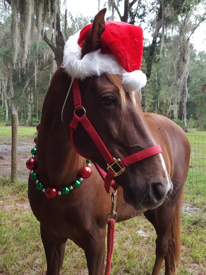 Equine Santa Claus Hat Fun Holiday 