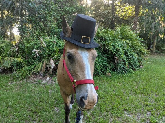 Pilgrim Hat for Horses Equine Coachman 