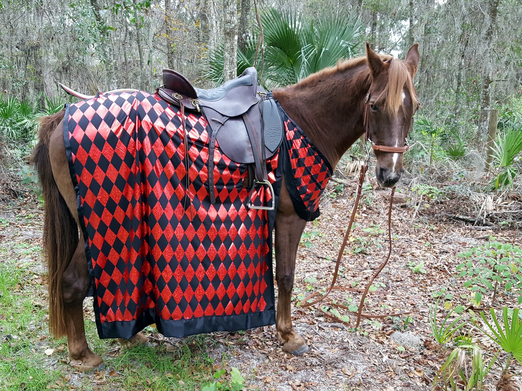 Red and Black Knight Horse Costume Reversible to All Black Etsy