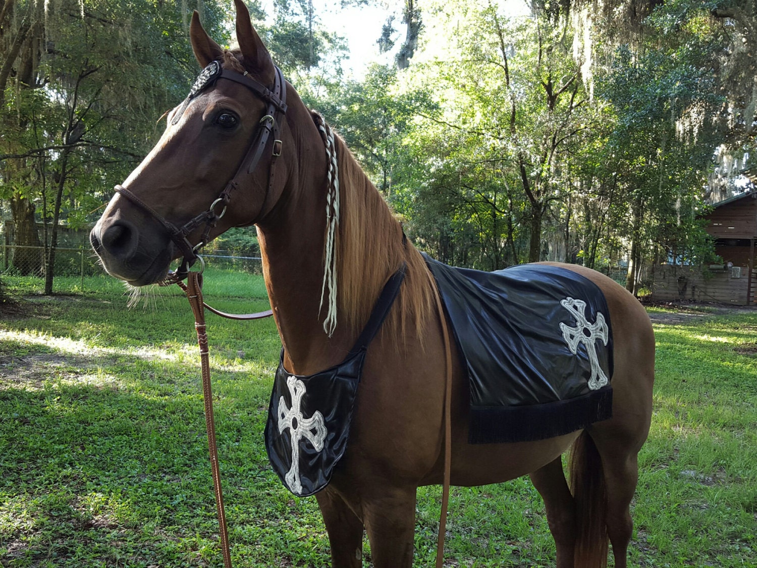 Knights Templar Horse Costume Medieval Horse or Pony Costume Etsy