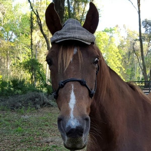 Driving Cap for Horses, Ponies, Minis - Stylish Cloth Hat for Equine - Horse Apparel