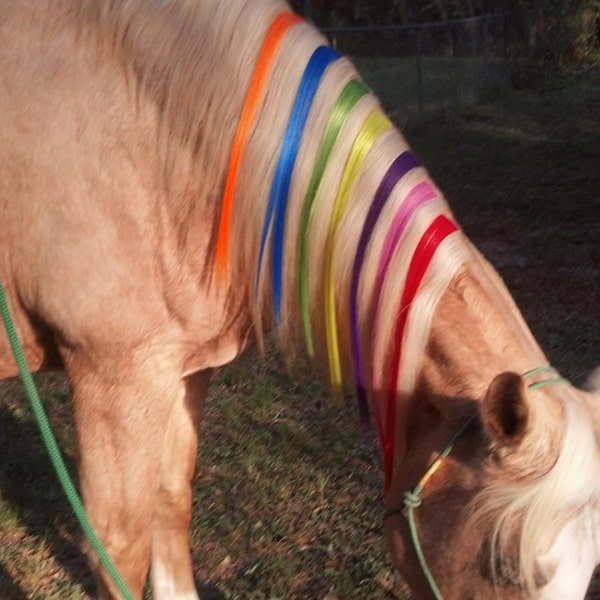 Horse Mane Etsy