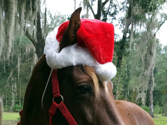 horse christmas hat