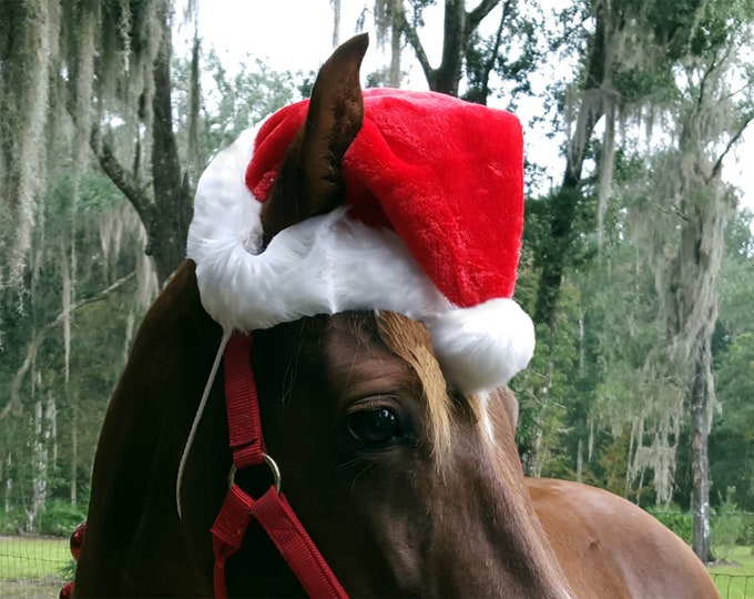 Santa Hat for Horses, Large Ponies, Drafts Equine Santa Claus Hat Fun