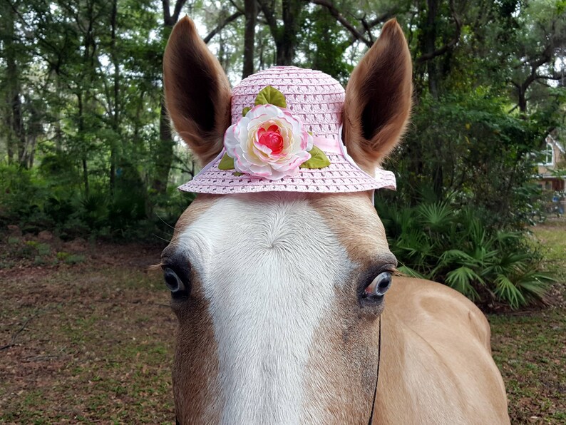 Pink Camelia Hat for Small Horse Pony 