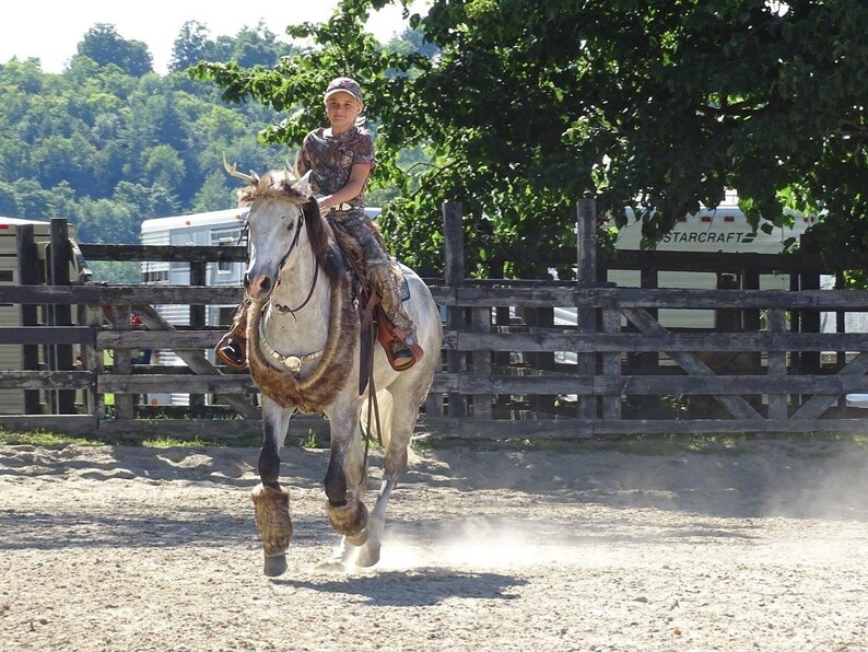 Deer Antlers for Horses With Brown Faux Fur Hat Costume for Etsy