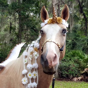 Flowered Unicorn Horn Equine Browband with Gold Pink White Blue or Silver Horn - Horse, Pony or Miniature Horse Brow Band