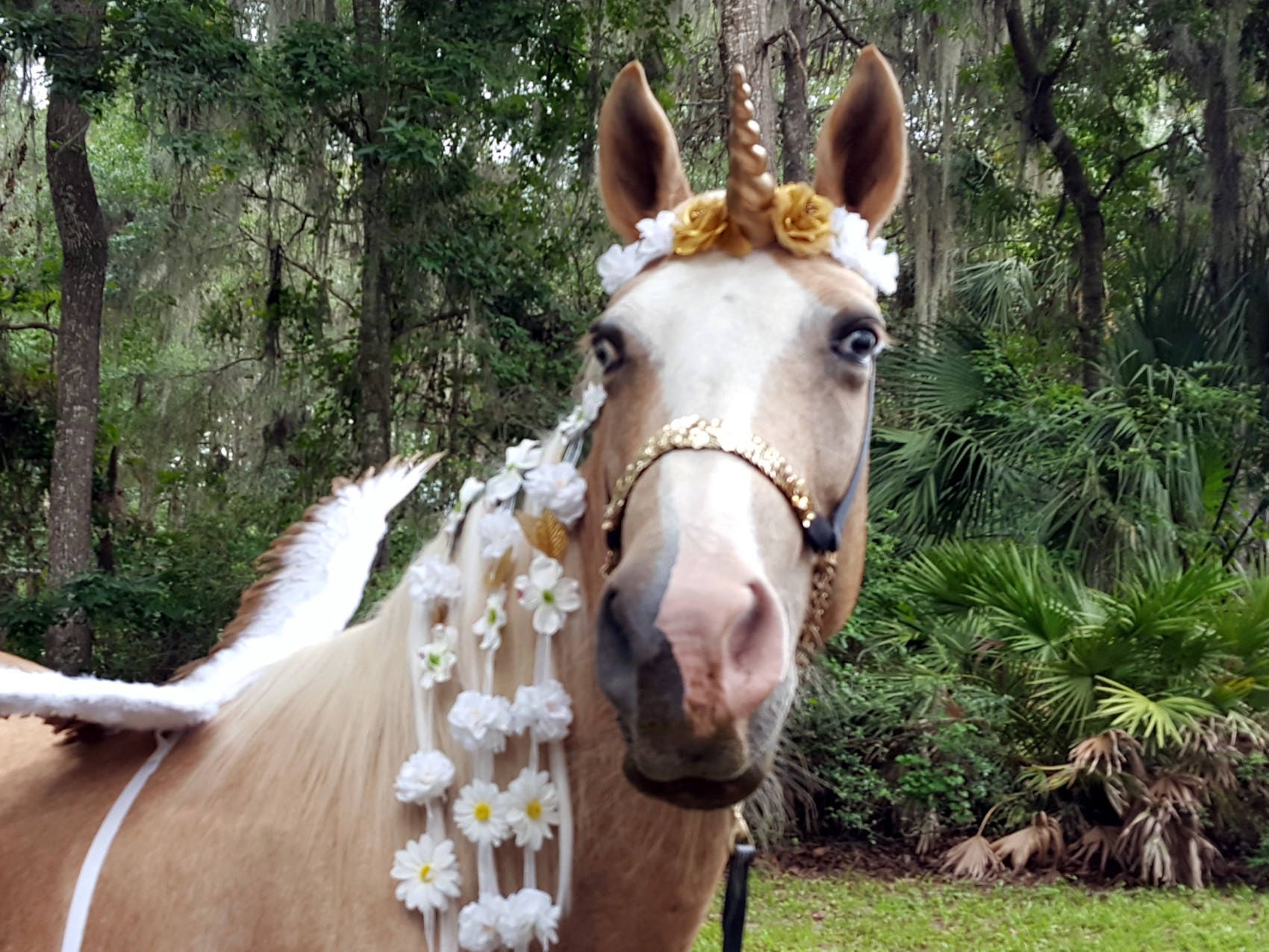 Flowered Unicorn Horn Equine Browband with Gold Pink White Blue Silve…