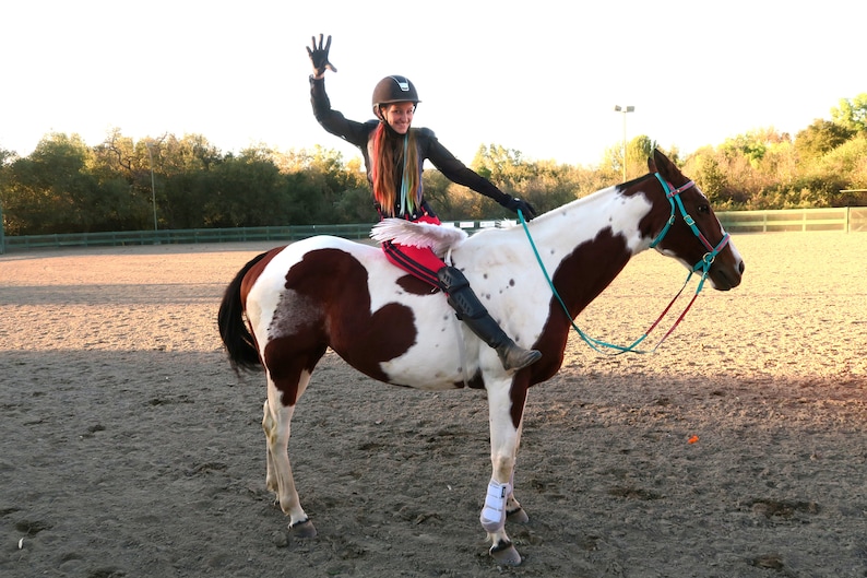 White Horse Wings Feathered Wings for Horse Pony or Etsy