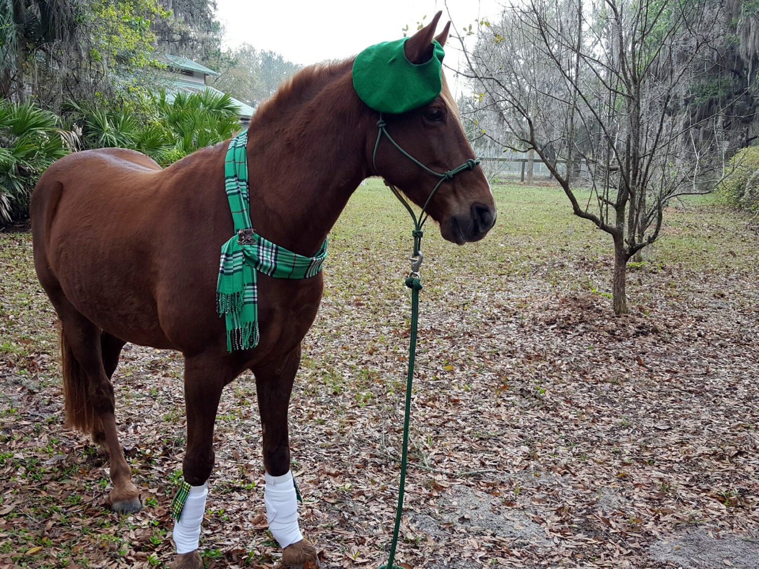 Plaid Equine Scarf Cashmere Horse Neck Wrap Scarf for Etsy