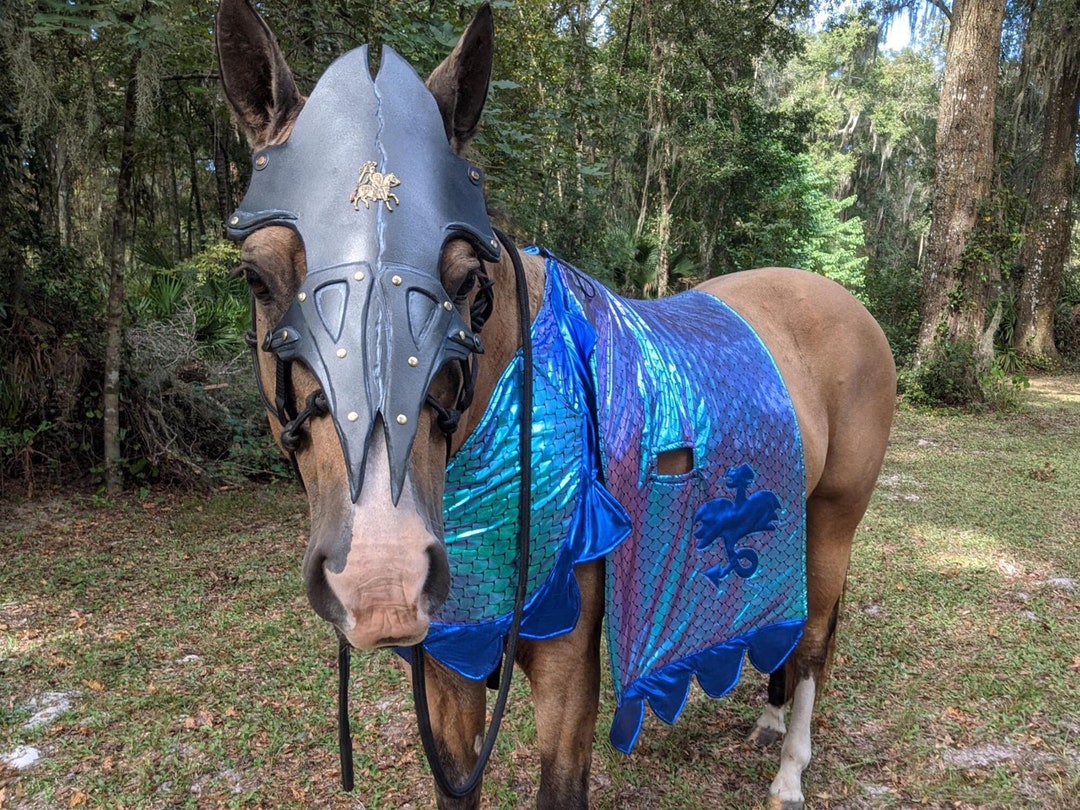 Chivalry Chanfron Horse Face Armor Medieval Equine Foam Armor Barding