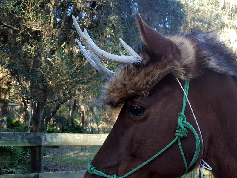 Deer Antlers for Horses With Brown Faux Fur Hat Costume for Etsy