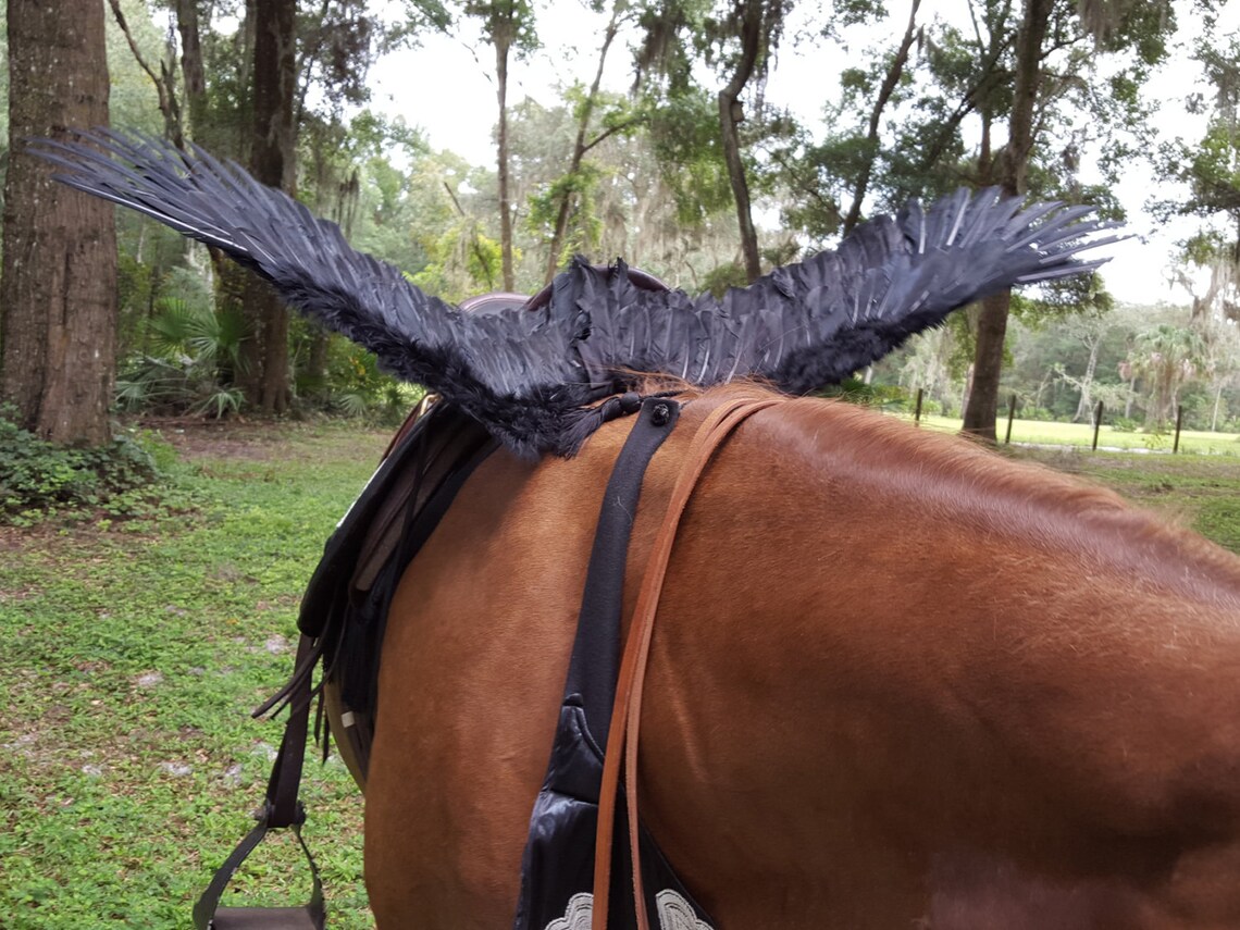 Black Horse Wings Feathered Wings for Horse Pony or Etsy