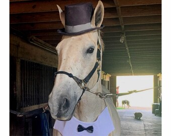 Dark Brown Top Hat for Horses Equine 