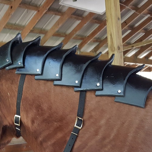 Crinet Crest of Neck Foam Armor for Horses or Ponies - Etsy