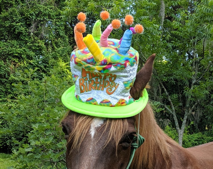 Green Birthday Hat for Horse or Pony With Candles Soft Equine Birthday