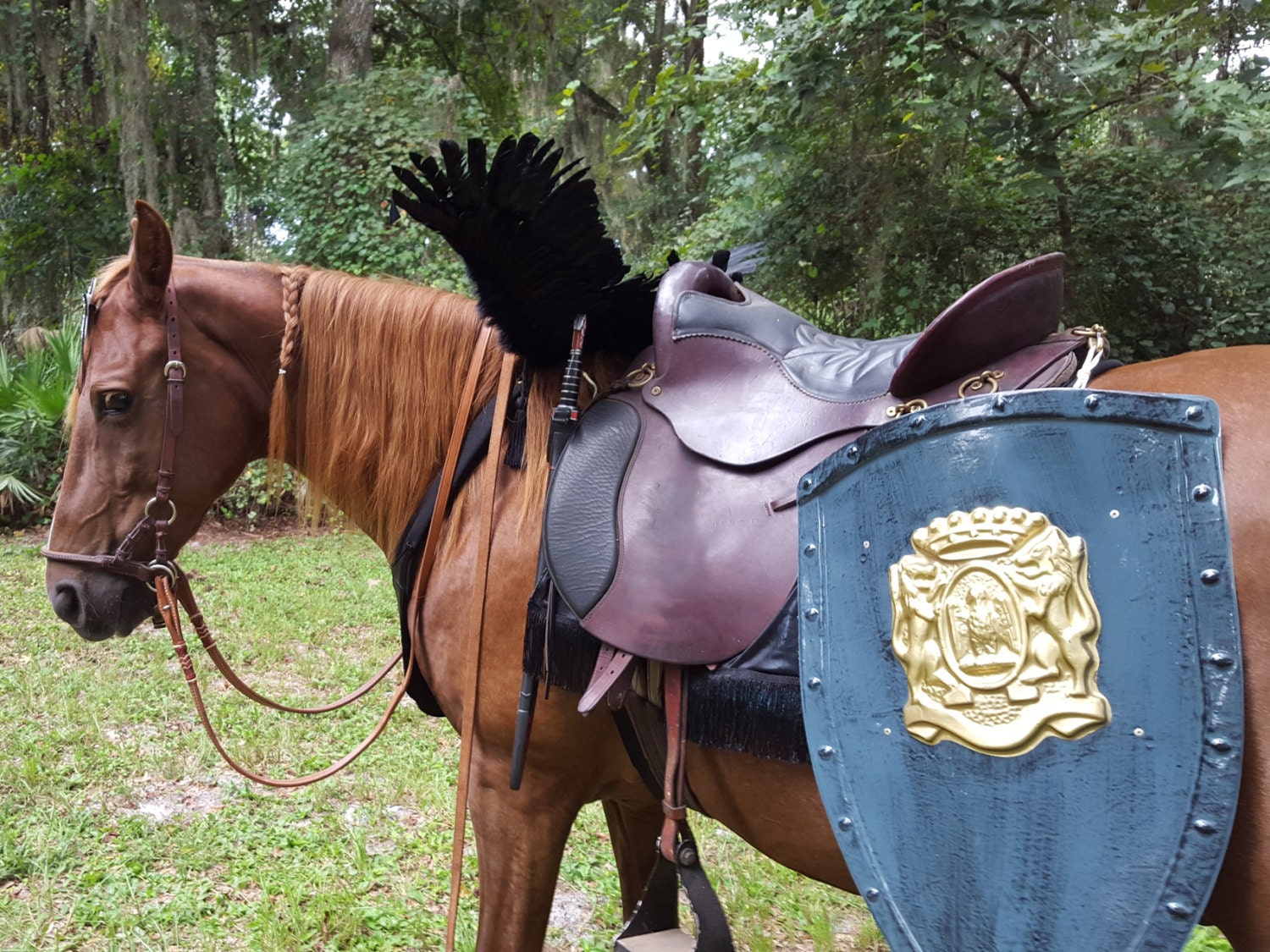 Black Horse Wings Feathered Wings for Horse Pony or Etsy