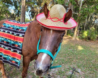 Mexican Costume for Horses - Mexican Equine Costume - Day of the Dead Equine Costume, Cinco de Mayo Equine Costume