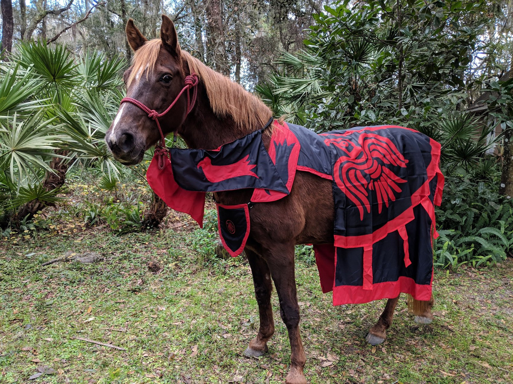 Viking Ravens Horse Costume Medieval Barding Costume Etsy