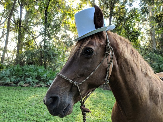 Top Hat for Horses in White Black Sky 
