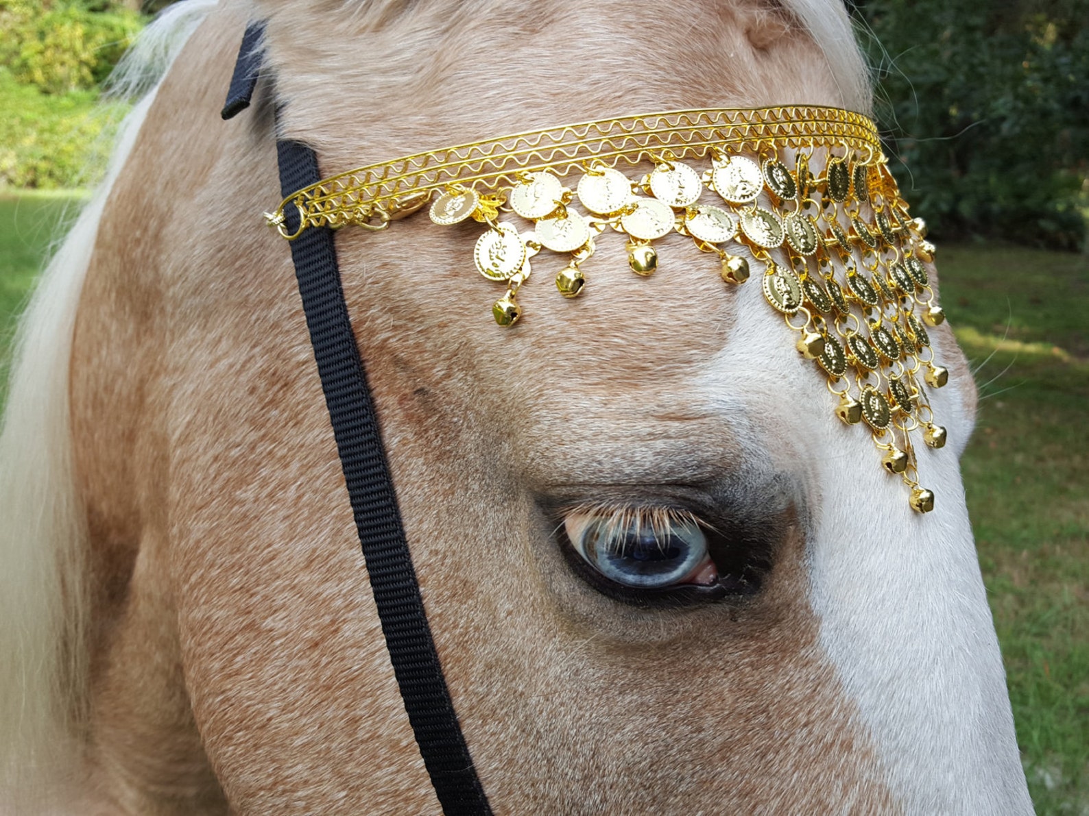 Têtière Western En Cuir Pour Cheval - Grande Taille, Couleur Marron, Argent Unique