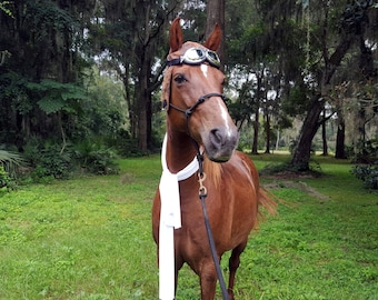 Flying Ace Horse Costume - WWI Pilot Equine Costume - Helmet Goggles Scarf Horse Costume