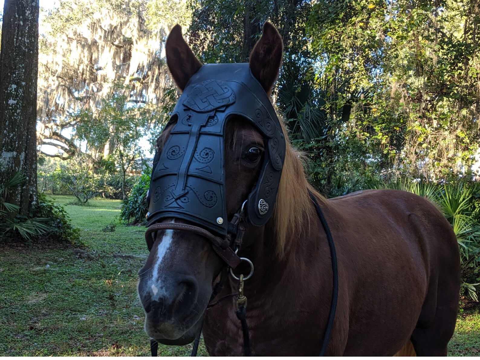 Arod Chanfron Horse Face Armor in Brown Leather Color Etsy