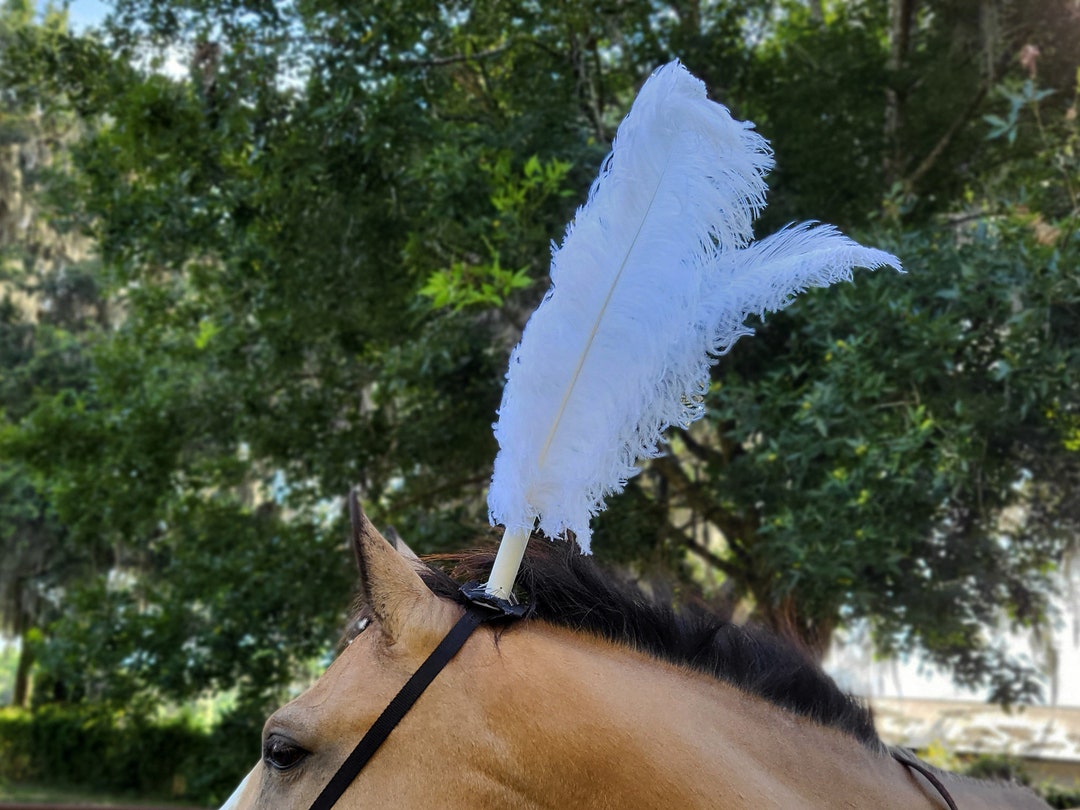 Feather Plumes for Riding and Draft Horse Bridles Feathered Bridle