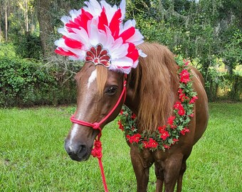 Noel Equine Browband Headdress - Riding Horse Feathered Brow Band - Feathered Plume Tack