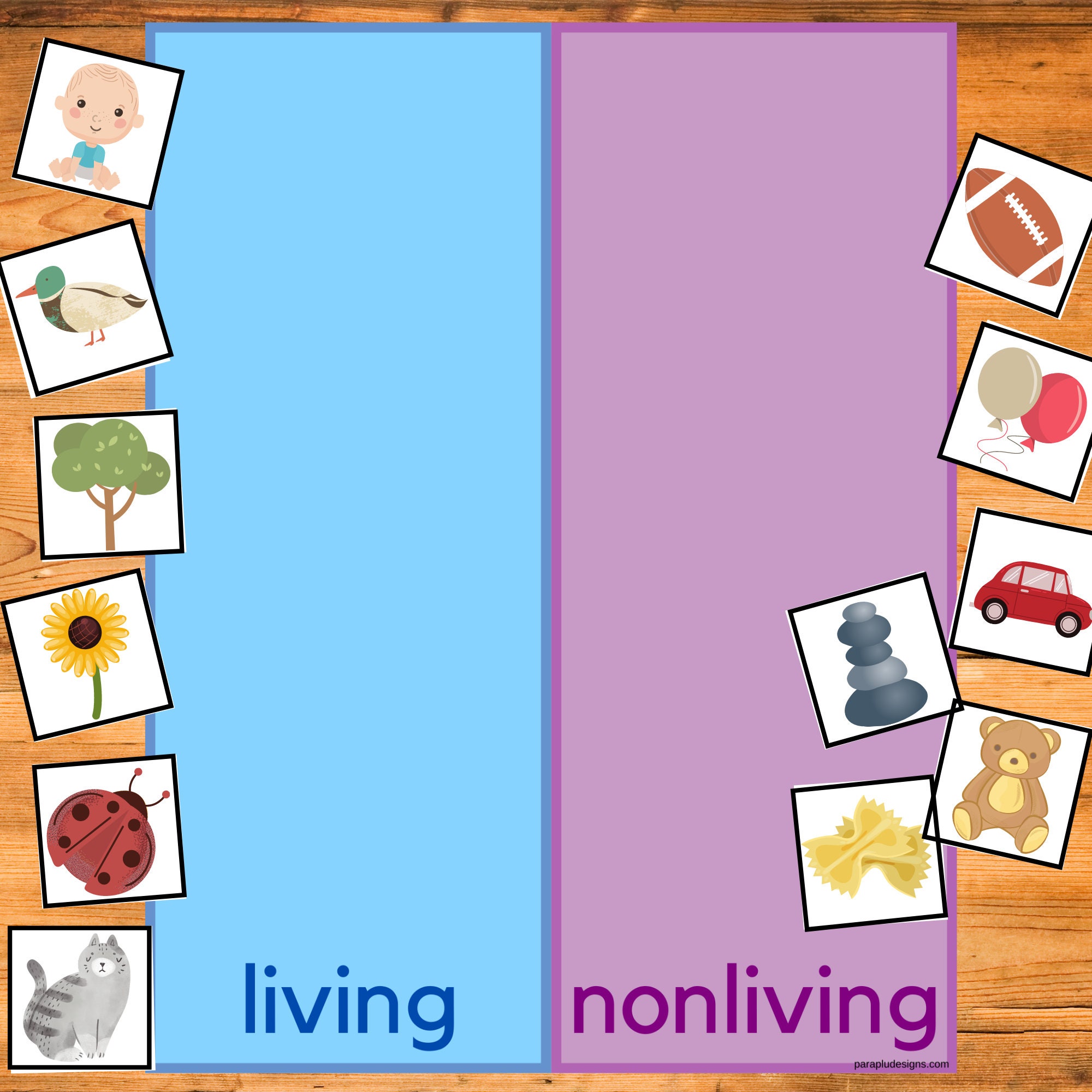 Early Science Busy Book A Quiet Time Book For Toddlers and Etsy