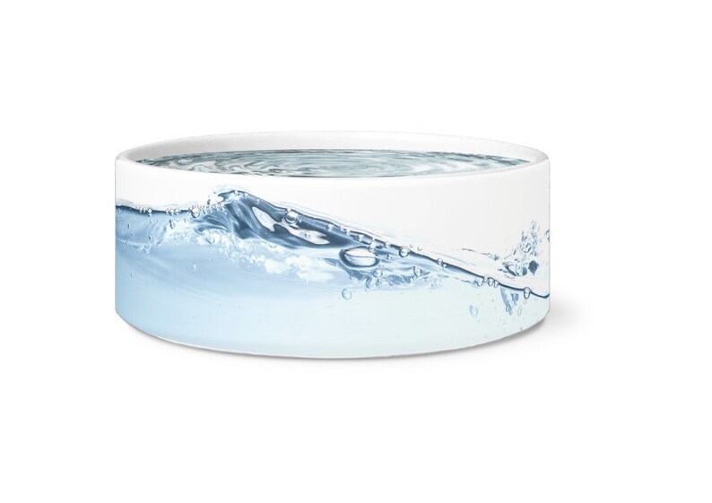 large dog water bowl