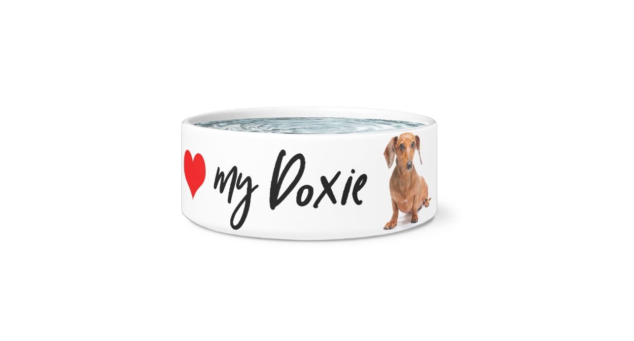 dachshund dog bowl