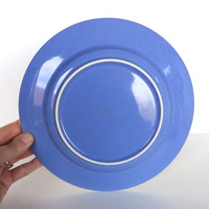 May include: A blue ceramic plate with a white inner rim. The plate is held by a hand against a white background. The plate's diameter is approximately 10 inches.